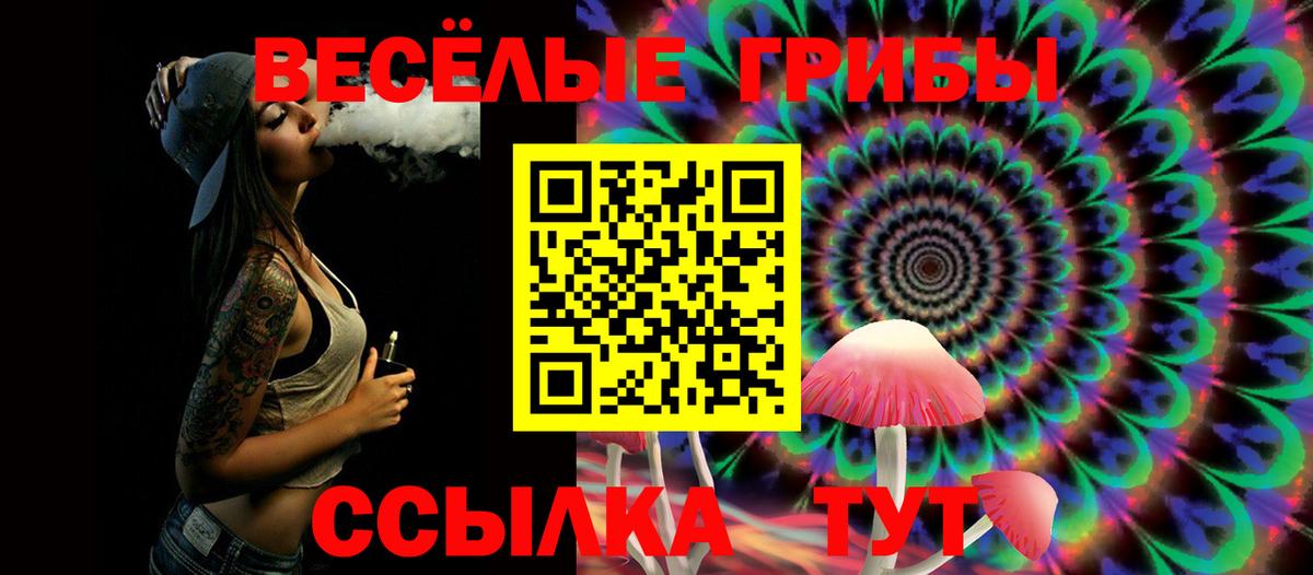 Псилоцибиновые грибы мухоморы  Вход с VPN  Галлюциногенные грибы MAGIC MUSHROOMS  Каменка 